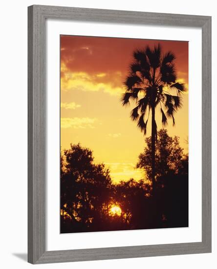 Sunset in Botswana-Stuart Westmorland-Framed Photographic Print