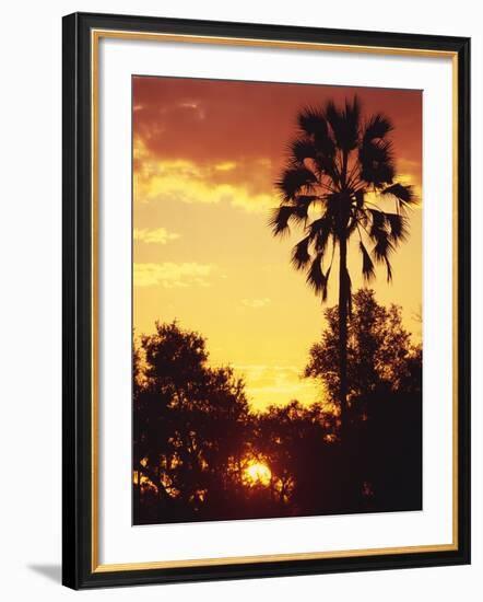 Sunset in Botswana-Stuart Westmorland-Framed Photographic Print