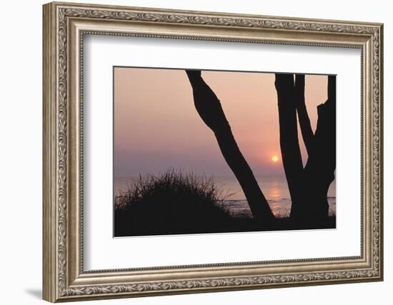 Sunset in Front of the Western Beach of Darss-Uwe Steffens-Framed Photographic Print