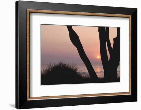 Sunset in Front of the Western Beach of Darss-Uwe Steffens-Framed Photographic Print