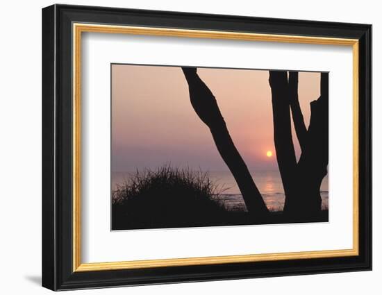 Sunset in Front of the Western Beach of Darss-Uwe Steffens-Framed Photographic Print