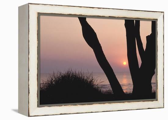 Sunset in Front of the Western Beach of Darss-Uwe Steffens-Framed Premier Image Canvas