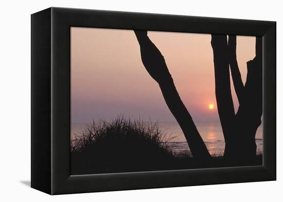 Sunset in Front of the Western Beach of Darss-Uwe Steffens-Framed Premier Image Canvas