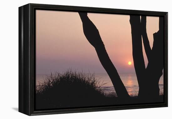 Sunset in Front of the Western Beach of Darss-Uwe Steffens-Framed Premier Image Canvas