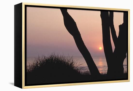 Sunset in Front of the Western Beach of Darss-Uwe Steffens-Framed Premier Image Canvas