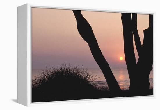 Sunset in Front of the Western Beach of Darss-Uwe Steffens-Framed Premier Image Canvas