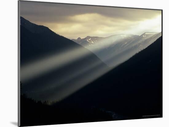 Sunset in Mt. Rainier National Park, Washington, USA-Jerry Ginsberg-Mounted Photographic Print