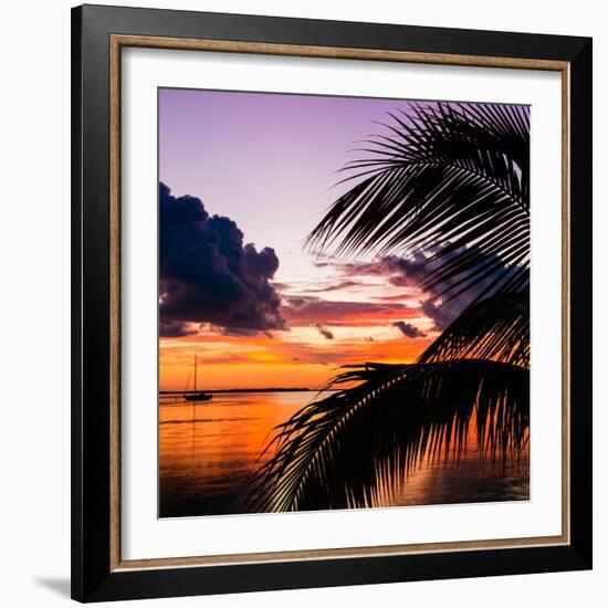 Sunset in Paradise - Florida-Philippe Hugonnard-Framed Photographic Print