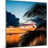 Sunset in Paradise - Florida-Philippe Hugonnard-Mounted Photographic Print