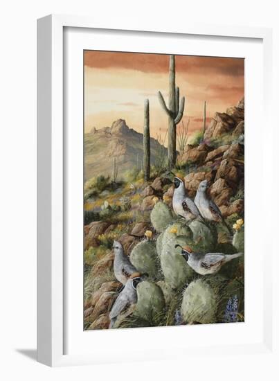 Sunset in Sonora-Trevor V. Swanson-Framed Giclee Print