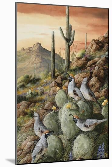 Sunset in Sonora-Trevor V. Swanson-Mounted Giclee Print