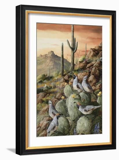 Sunset in Sonora-Trevor V. Swanson-Framed Giclee Print