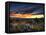 Sunset in the Desert IV-David Drost-Framed Premier Image Canvas