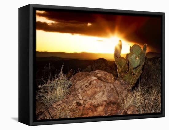 Sunset in the Desert V-David Drost-Framed Premier Image Canvas