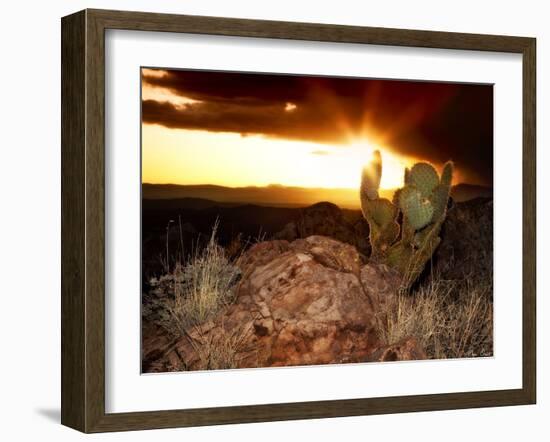 Sunset in the Desert V-David Drost-Framed Photographic Print