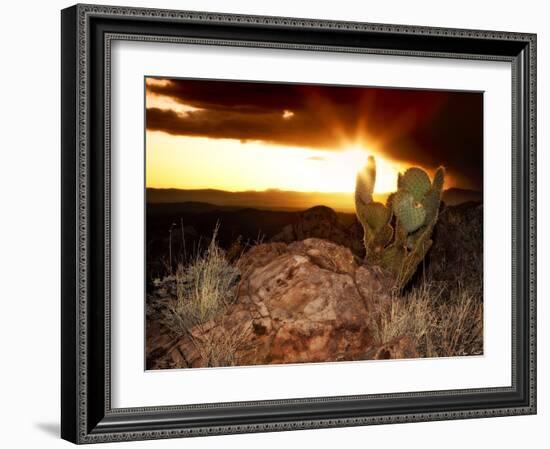 Sunset in the Desert V-David Drost-Framed Photographic Print