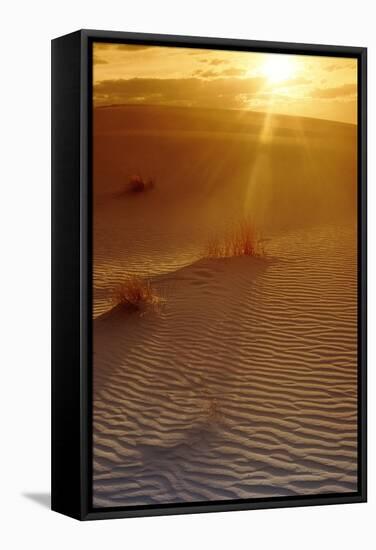 Sunset In the Desert-Tony Craddock-Framed Premier Image Canvas