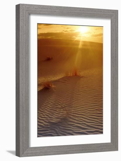 Sunset In the Desert-Tony Craddock-Framed Photographic Print