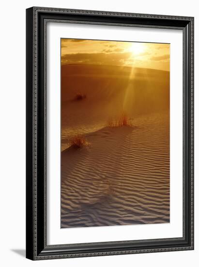 Sunset In the Desert-Tony Craddock-Framed Photographic Print