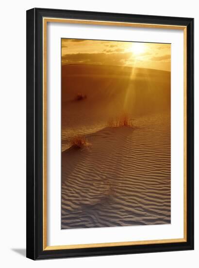 Sunset In the Desert-Tony Craddock-Framed Photographic Print