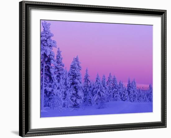 Sunset in the Lappish Winter, Finland-Daisy Gilardini-Framed Photographic Print