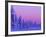 Sunset in the Lappish Winter, Finland-Daisy Gilardini-Framed Photographic Print