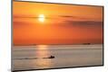Premium Photographic Print