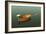 Sunset in the Pier II-Carlos Casamayor-Framed Giclee Print