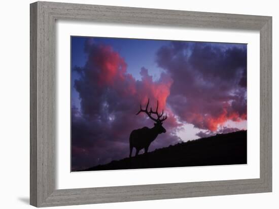 Sunset in the Rockies-Darren White Photography-Framed Giclee Print