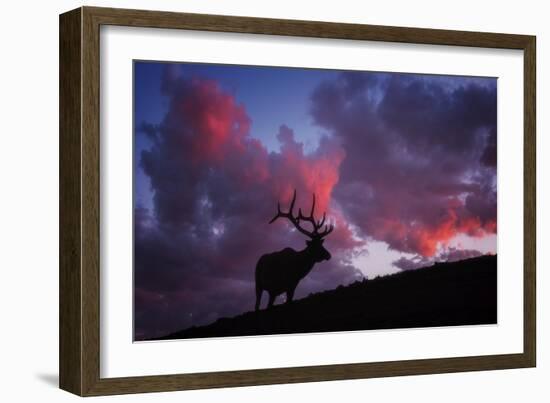 Sunset in the Rockies-Darren White Photography-Framed Giclee Print