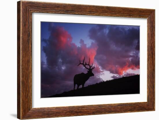 Sunset in the Rockies-Darren White Photography-Framed Giclee Print