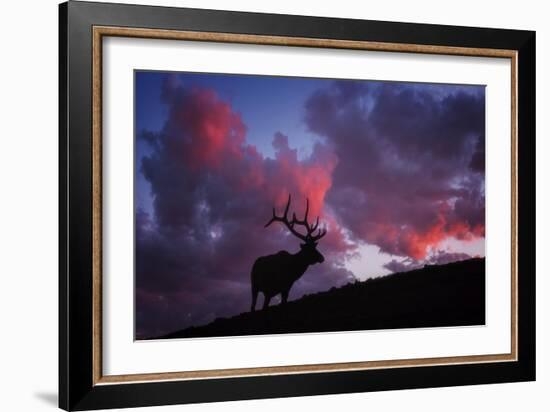 Sunset in the Rockies-Darren White Photography-Framed Giclee Print