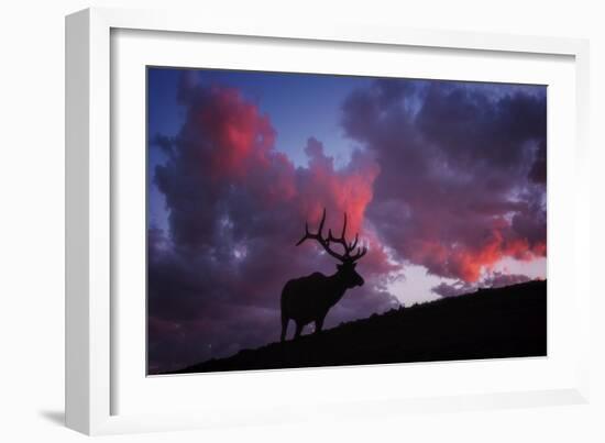 Sunset in the Rockies-Darren White Photography-Framed Giclee Print