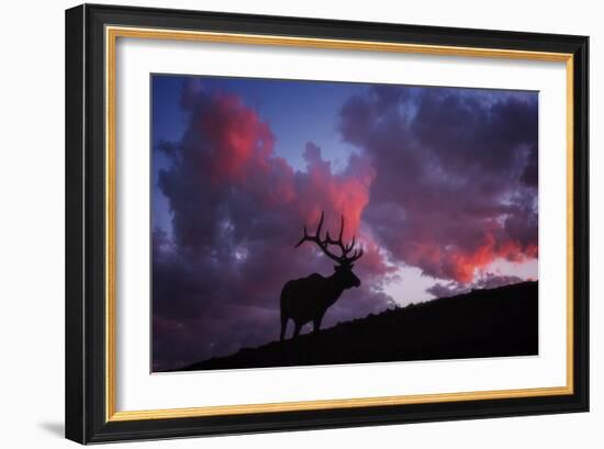 Sunset in the Rockies-Darren White Photography-Framed Giclee Print