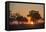 Sunset in the Savuti marsh, Botswana, Africa-Sergio Pitamitz-Framed Premier Image Canvas