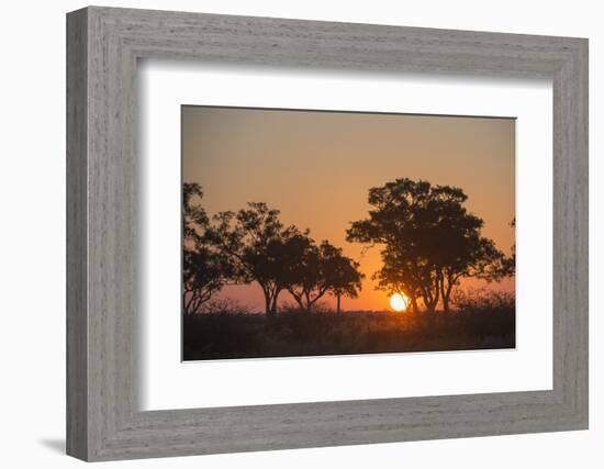 Sunset in the Savuti marsh, Botswana, Africa-Sergio Pitamitz-Framed Photographic Print