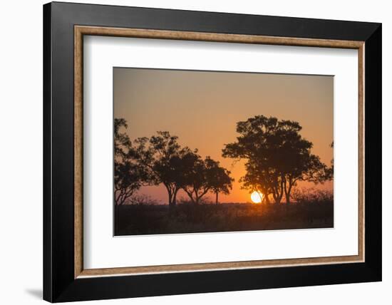 Sunset in the Savuti marsh, Botswana, Africa-Sergio Pitamitz-Framed Photographic Print