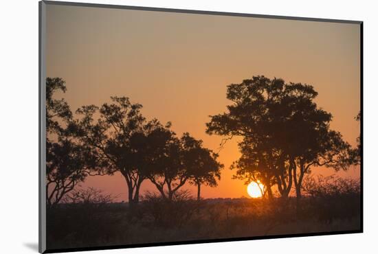 Sunset in the Savuti marsh, Botswana, Africa-Sergio Pitamitz-Mounted Photographic Print