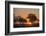 Sunset in the Savuti marsh, Botswana, Africa-Sergio Pitamitz-Framed Photographic Print