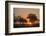 Sunset in the Savuti marsh, Botswana, Africa-Sergio Pitamitz-Framed Photographic Print