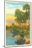 Sunset in Tropical Florida, Myakka River State Park-null-Mounted Art Print