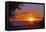 Sunset in Williamsburg, Cobham Bay-Martina Bleichner-Framed Stretched Canvas