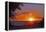 Sunset in Williamsburg, Cobham Bay-Martina Bleichner-Framed Stretched Canvas