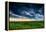 Sunset in Yellow Rapeseed Field-Oleg Saenco-Framed Premier Image Canvas