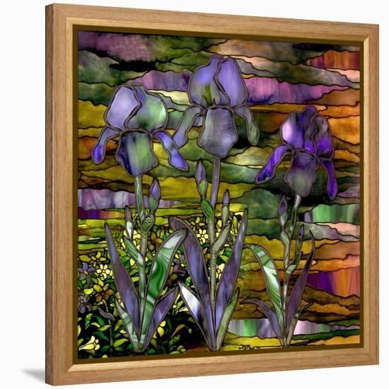 Sunset Irises-Mindy Sommers-Framed Premier Image Canvas