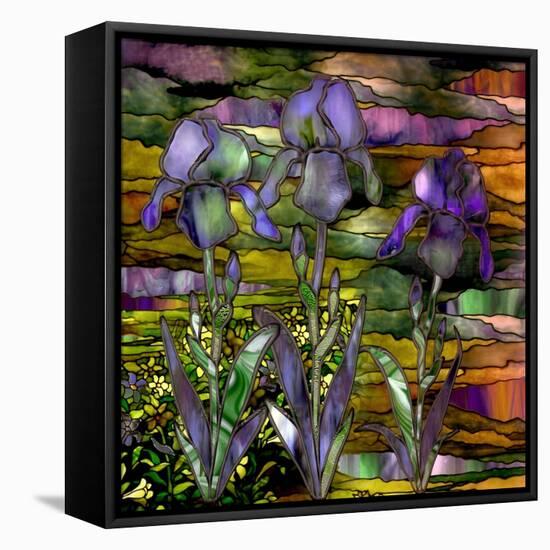 Sunset Irises-Mindy Sommers-Framed Premier Image Canvas