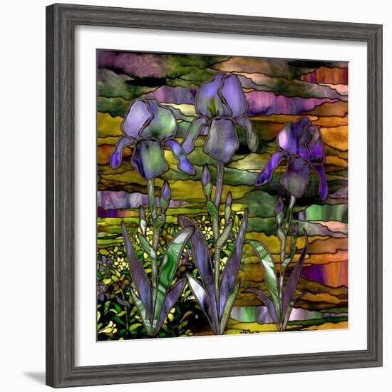 Sunset Irises-Mindy Sommers-Framed Giclee Print