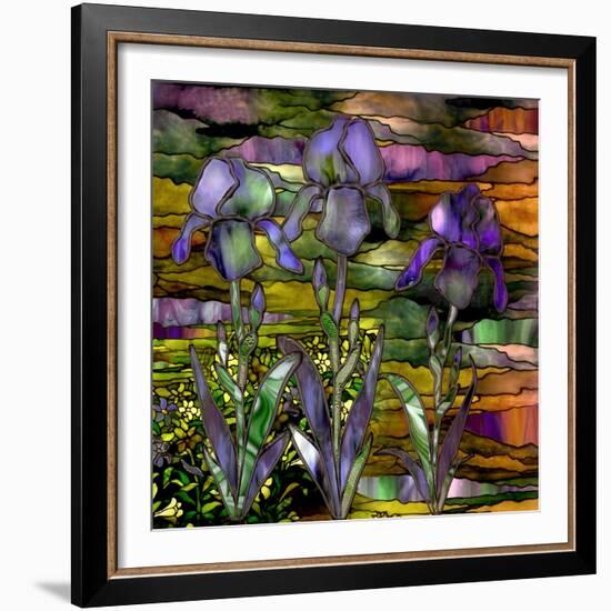 Sunset Irises-Mindy Sommers-Framed Giclee Print