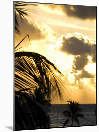 Sunset, Key West, Florida, United States of America, North America-Robert Harding-Mounted Photographic Print