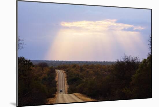 Sunset, Kruger National Park, South Africa, Africa-Christian Kober-Mounted Photographic Print